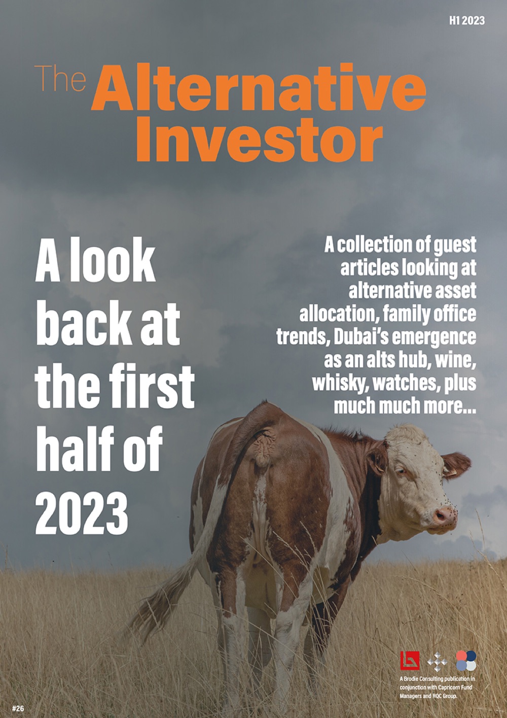 The Alternative Investor, issue 26 cover