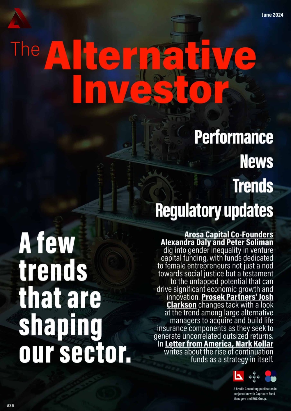 The Alternative Investor, issue 36 cover
