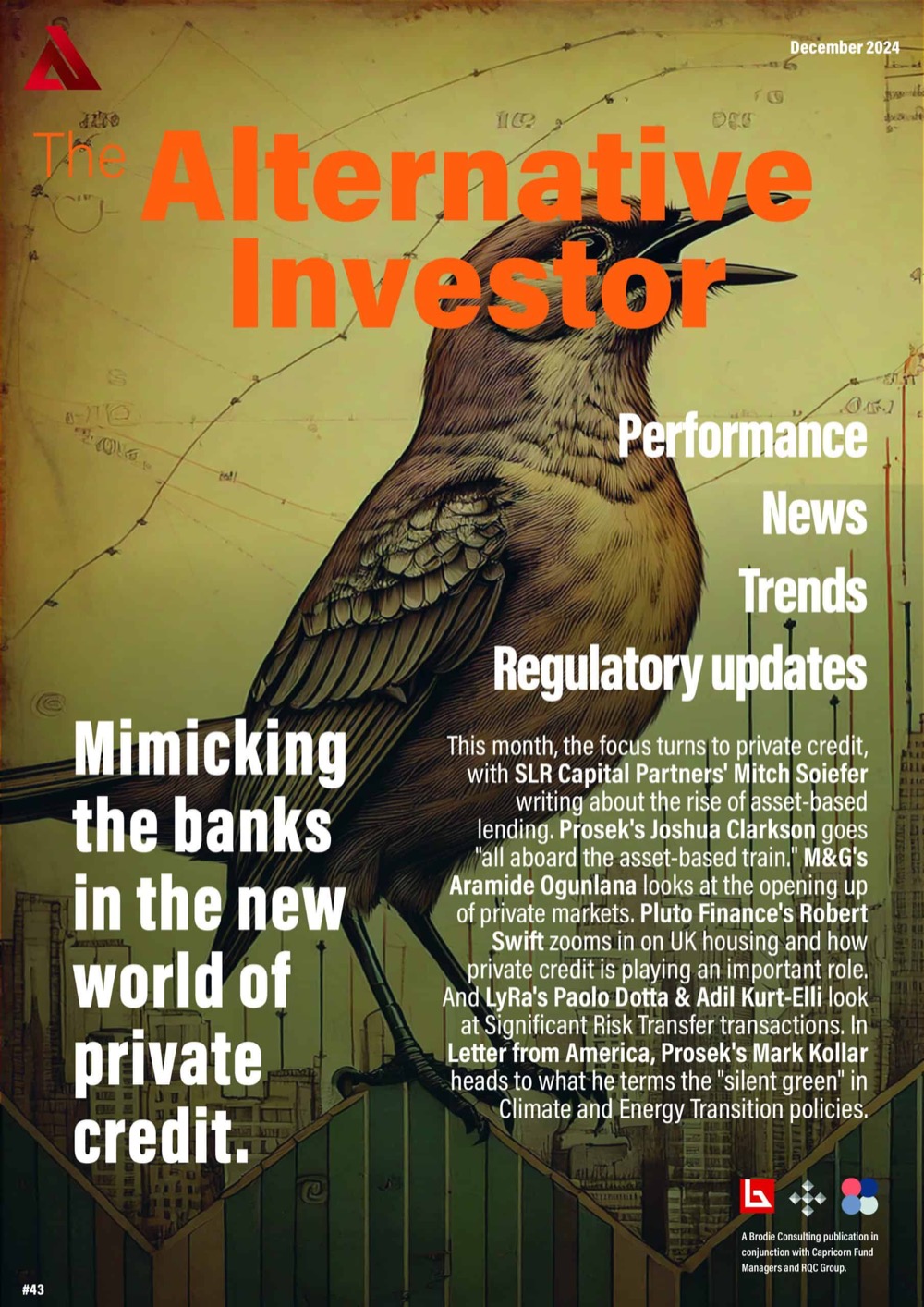 The Alternative Investor, issue 42 cover