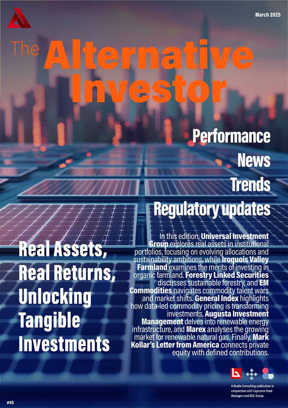 The Alternative Investor, issue 45 cover