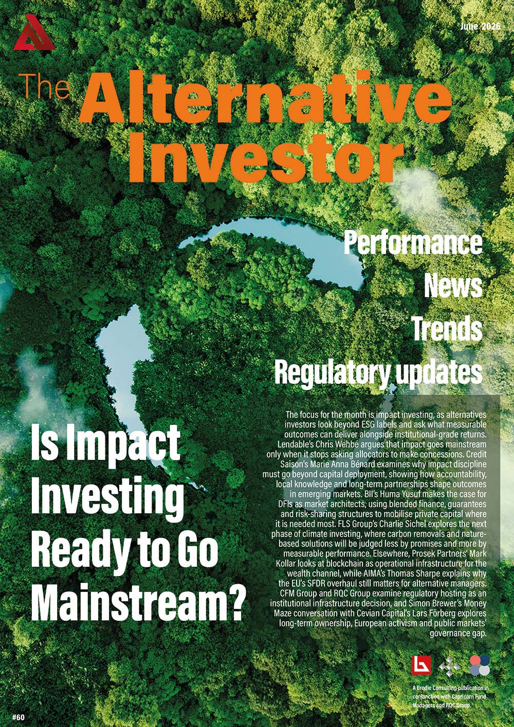 The Alternative Investor, issue 60 cover